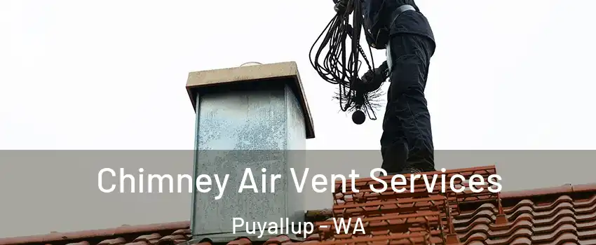  Chimney Air Vent Services Puyallup - WA