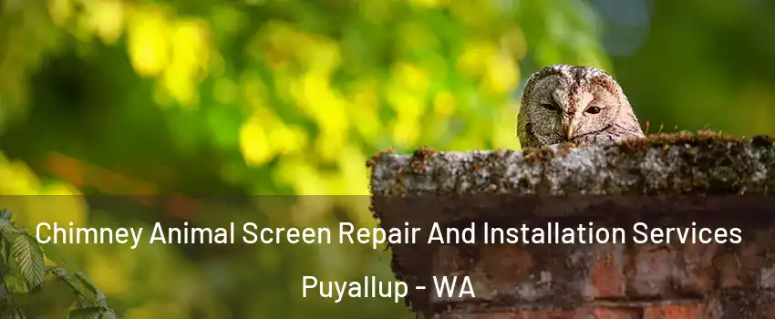  Chimney Animal Screen Repair And Installation Services Puyallup - WA