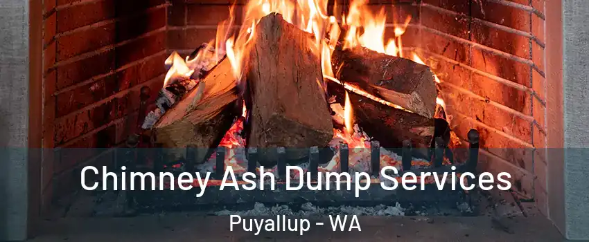  Chimney Ash Dump Services Puyallup - WA