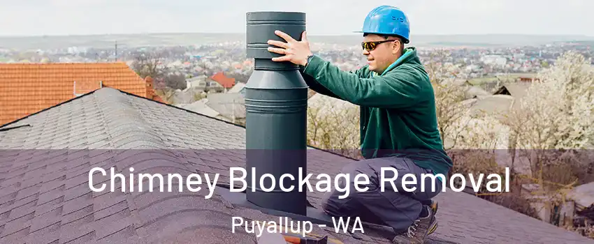  Chimney Blockage Removal Puyallup - WA