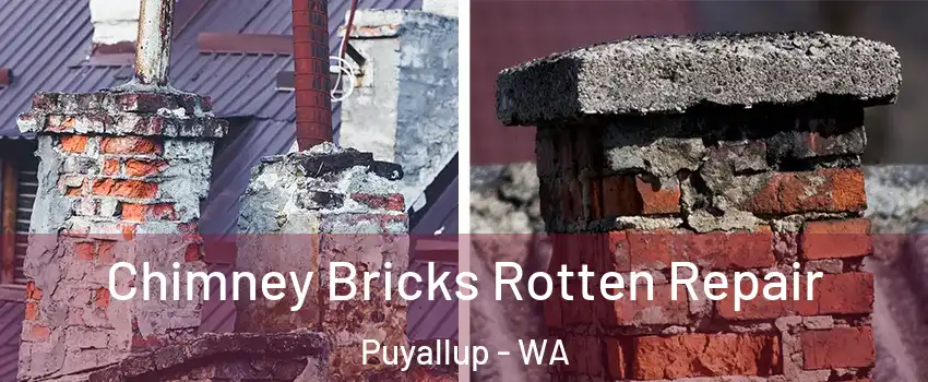  Chimney Bricks Rotten Repair Puyallup - WA