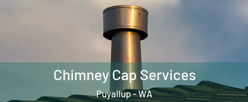  Chimney Cap Services Puyallup - WA
