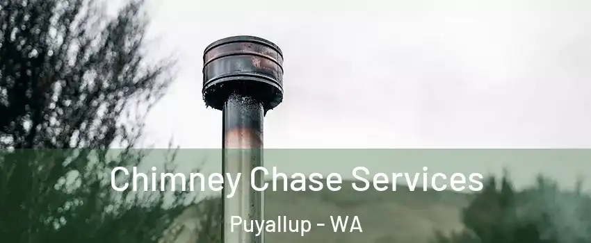  Chimney Chase Services Puyallup - WA