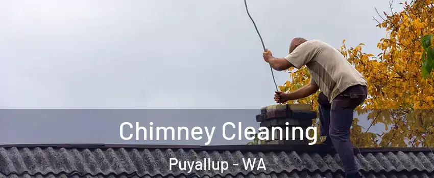  Chimney Cleaning Puyallup - WA