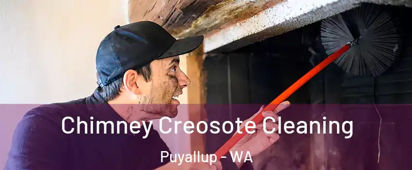  Chimney Creosote Cleaning Puyallup - WA