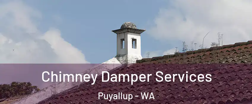  Chimney Damper Services Puyallup - WA