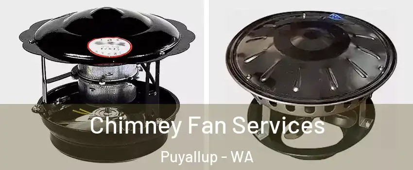  Chimney Fan Services Puyallup - WA