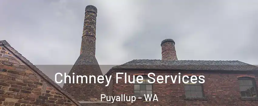  Chimney Flue Services Puyallup - WA