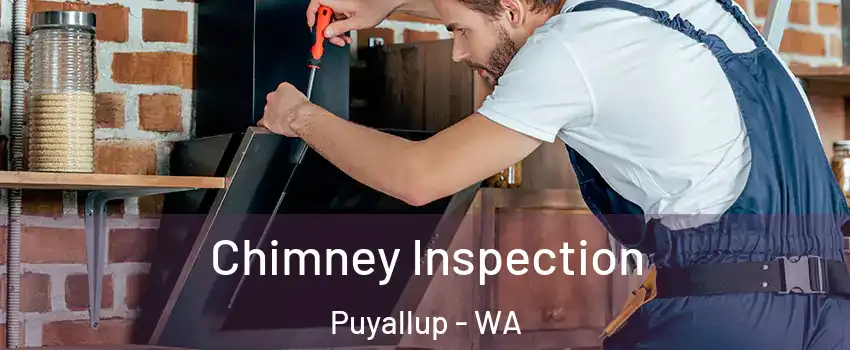  Chimney Inspection Puyallup - WA