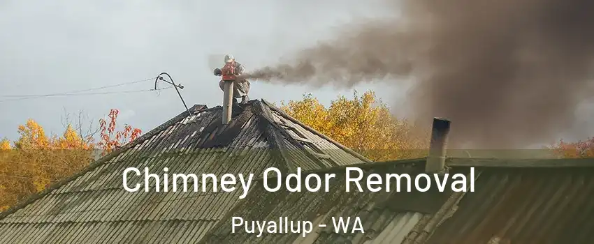  Chimney Odor Removal Puyallup - WA