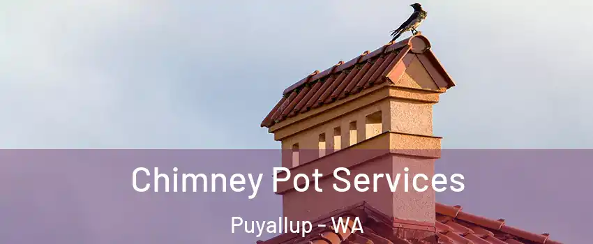 Chimney Pot Services Puyallup - WA
