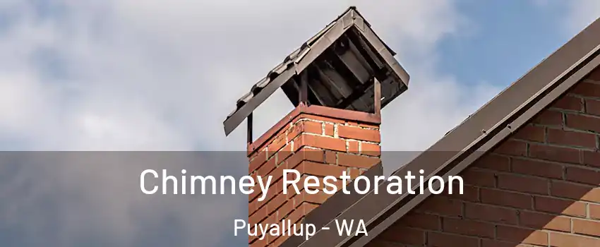  Chimney Restoration Puyallup - WA