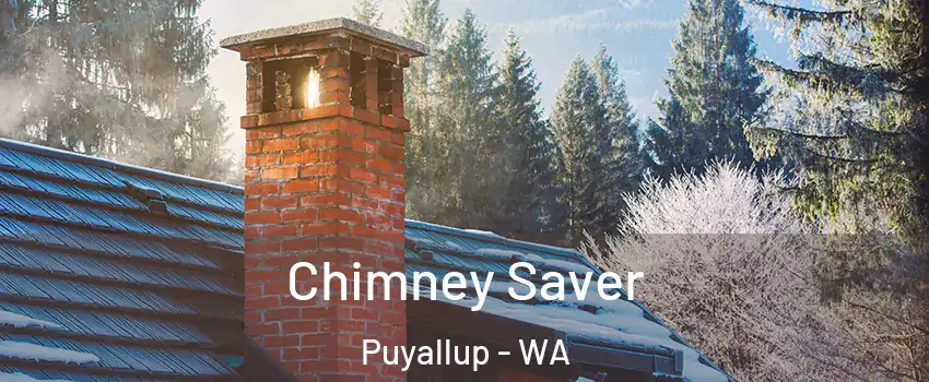  Chimney Saver Puyallup - WA