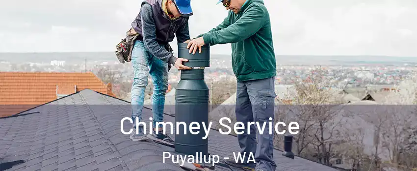  Chimney Service Puyallup - WA
