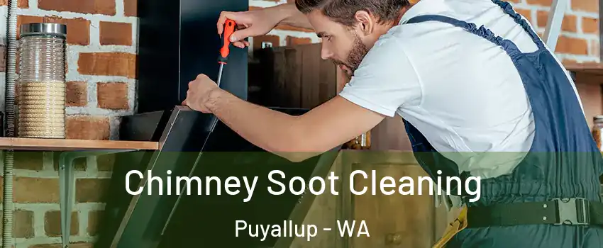 Chimney Soot Cleaning Puyallup - WA