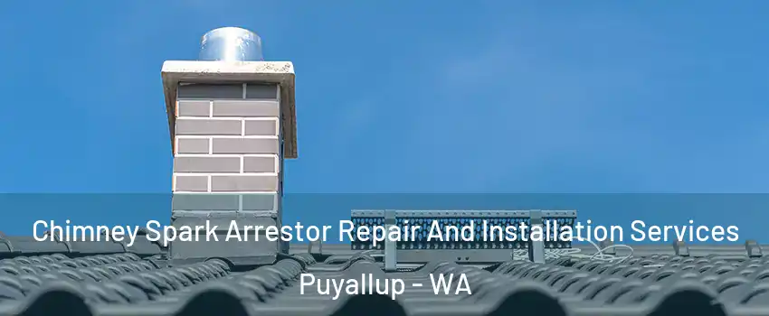  Chimney Spark Arrestor Repair And Installation Services Puyallup - WA