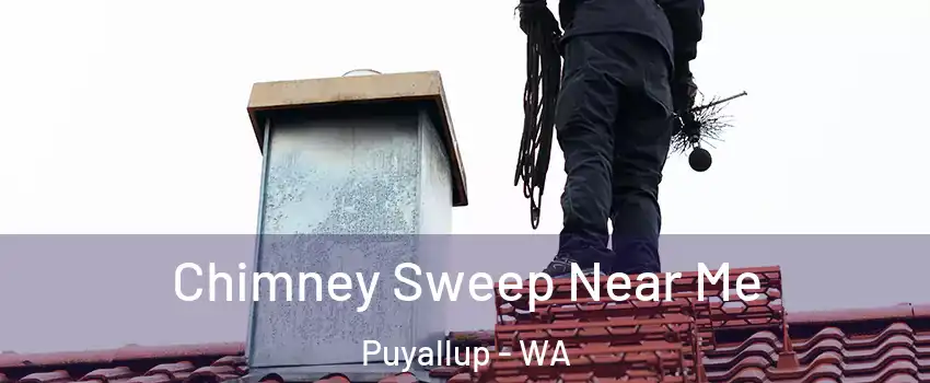  Chimney Sweep Near Me Puyallup - WA