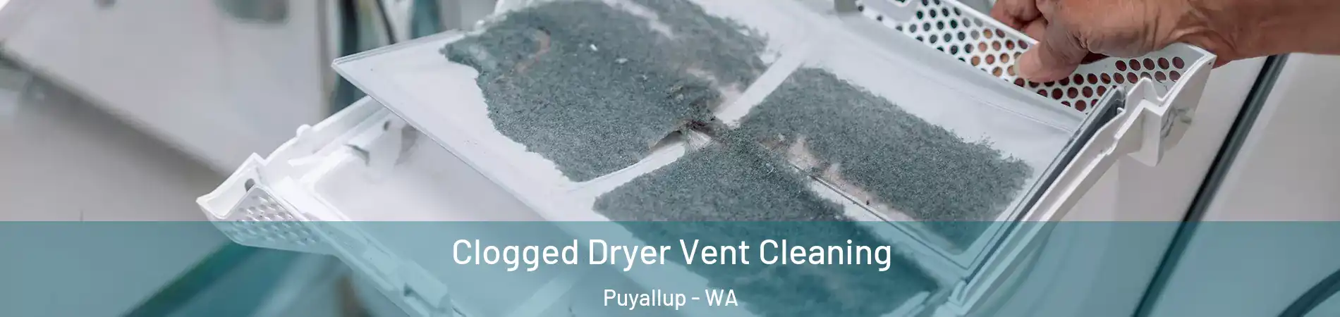  Clogged Dryer Vent Cleaning Puyallup - WA
