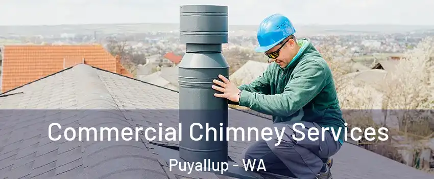  Commercial Chimney Services Puyallup - WA