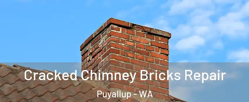  Cracked Chimney Bricks Repair Puyallup - WA
