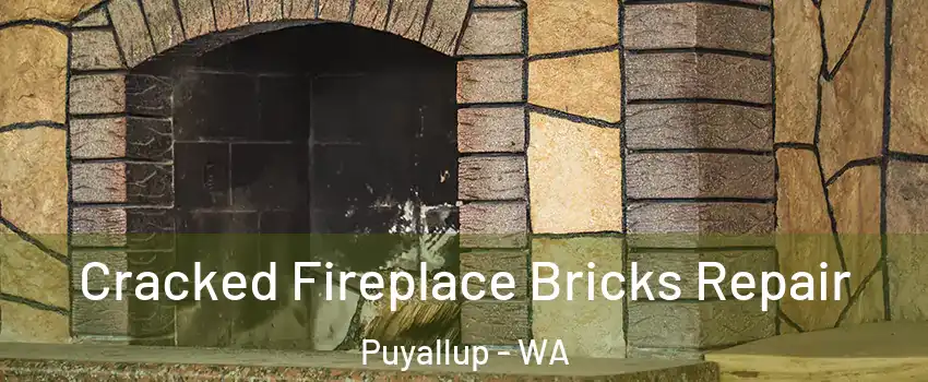  Cracked Fireplace Bricks Repair Puyallup - WA