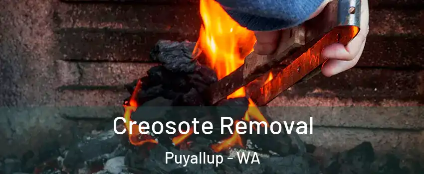  Creosote Removal Puyallup - WA