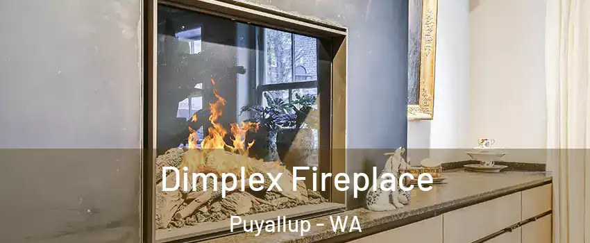  Dimplex Fireplace Puyallup - WA
