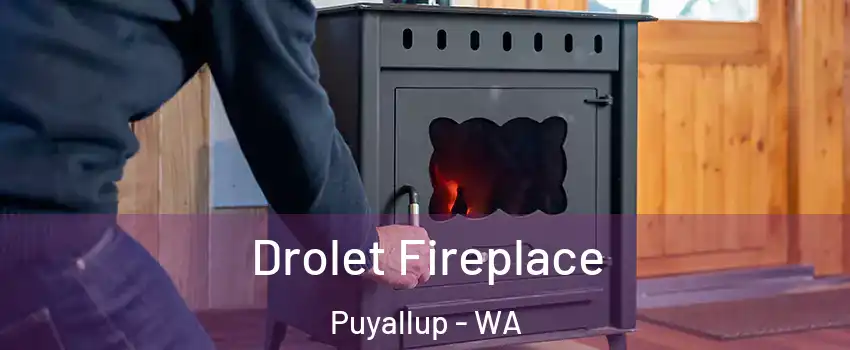  Drolet Fireplace Puyallup - WA