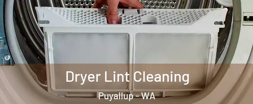  Dryer Lint Cleaning Puyallup - WA