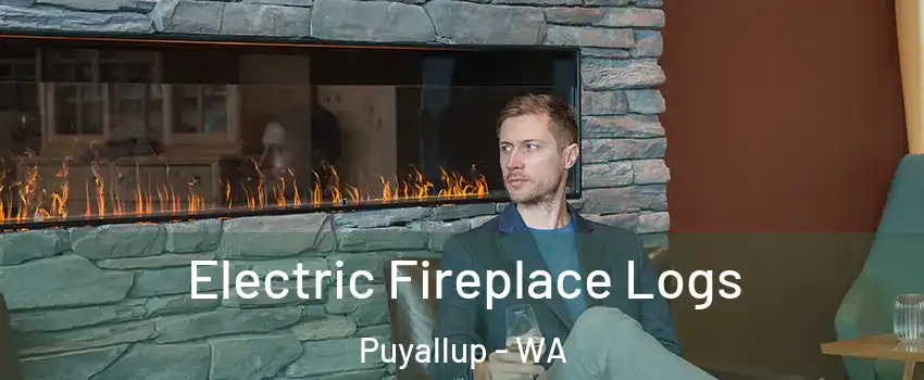  Electric Fireplace Logs Puyallup - WA