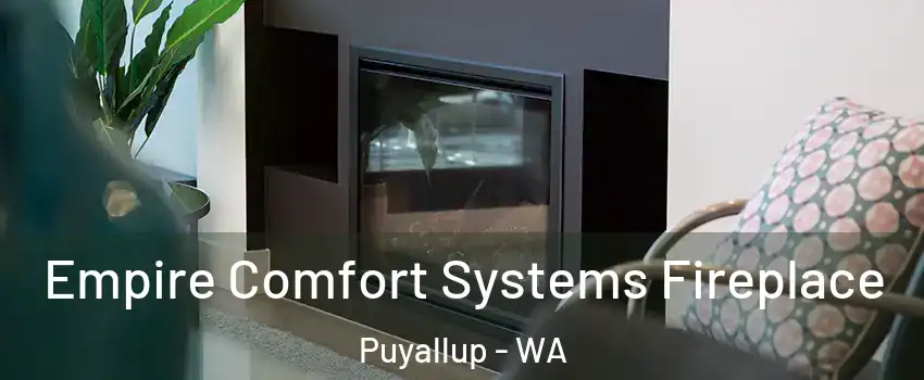  Empire Comfort Systems Fireplace Puyallup - WA
