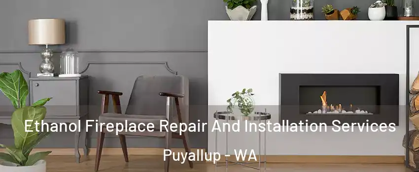  Ethanol Fireplace Repair And Installation Services Puyallup - WA