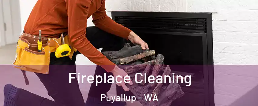  Fireplace Cleaning Puyallup - WA