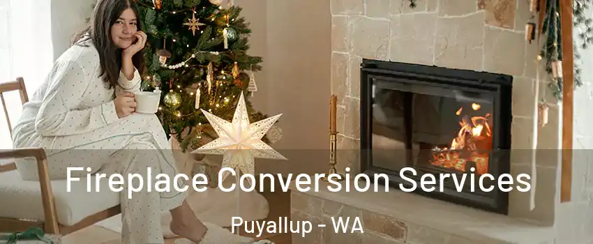  Fireplace Conversion Services Puyallup - WA