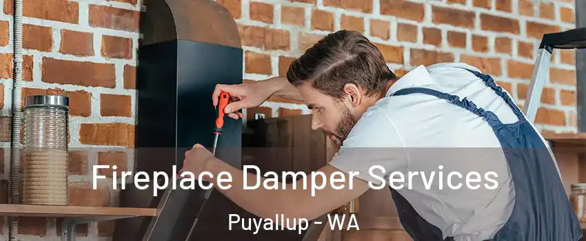  Fireplace Damper Services Puyallup - WA