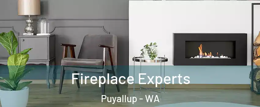  Fireplace Experts Puyallup - WA
