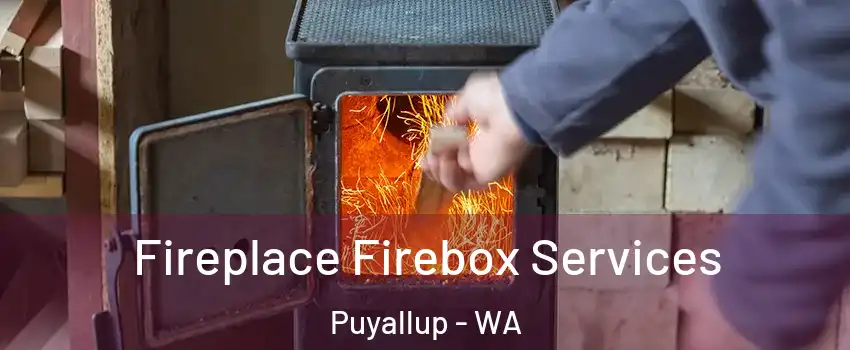  Fireplace Firebox Services Puyallup - WA