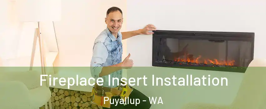 Fireplace Insert Installation Puyallup - WA