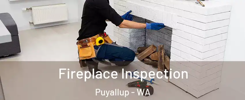  Fireplace Inspection Puyallup - WA