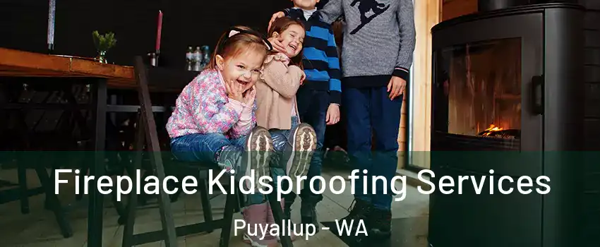  Fireplace Kidsproofing Services Puyallup - WA