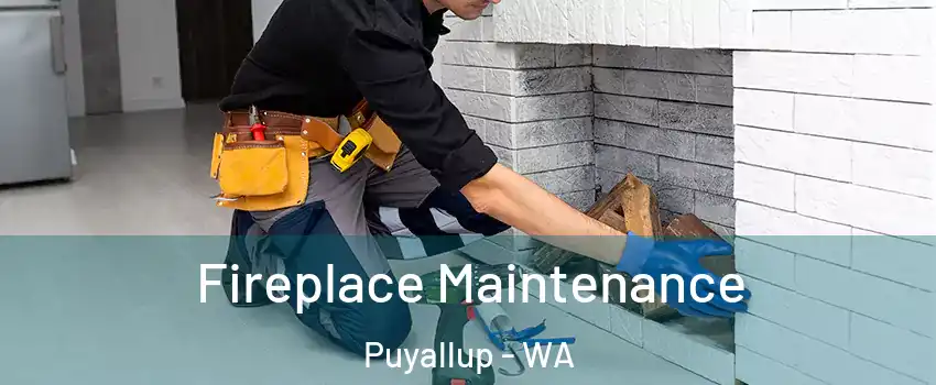  Fireplace Maintenance Puyallup - WA