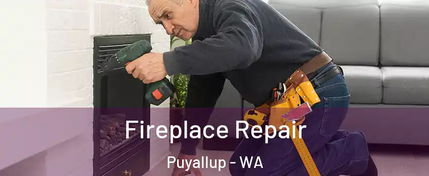  Fireplace Repair Puyallup - WA