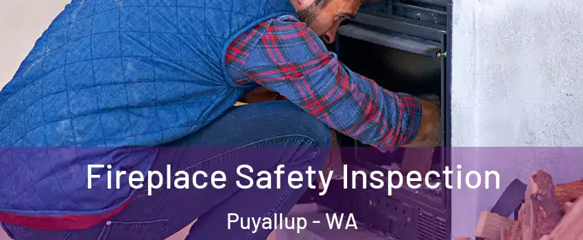  Fireplace Safety Inspection Puyallup - WA