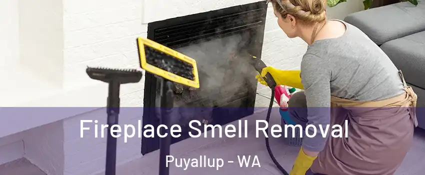  Fireplace Smell Removal Puyallup - WA