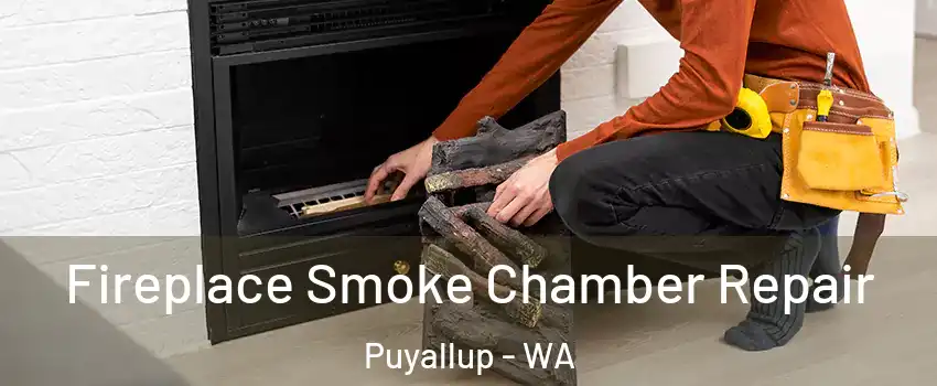  Fireplace Smoke Chamber Repair Puyallup - WA