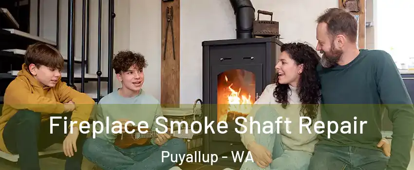  Fireplace Smoke Shaft Repair Puyallup - WA