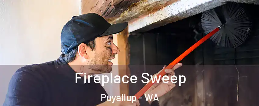  Fireplace Sweep Puyallup - WA