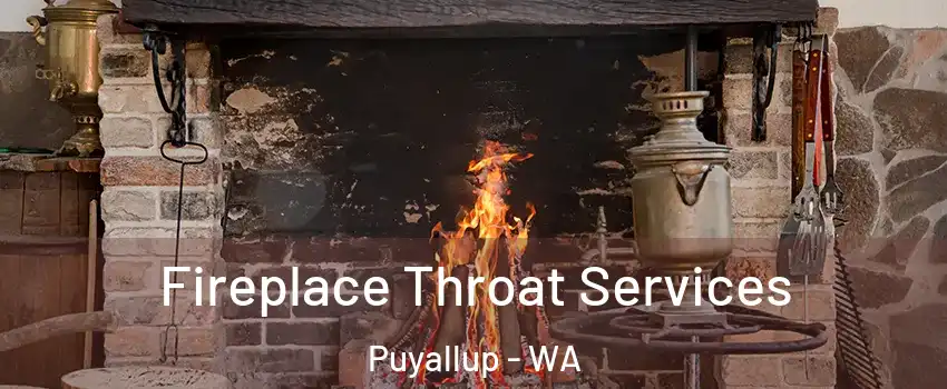  Fireplace Throat Services Puyallup - WA
