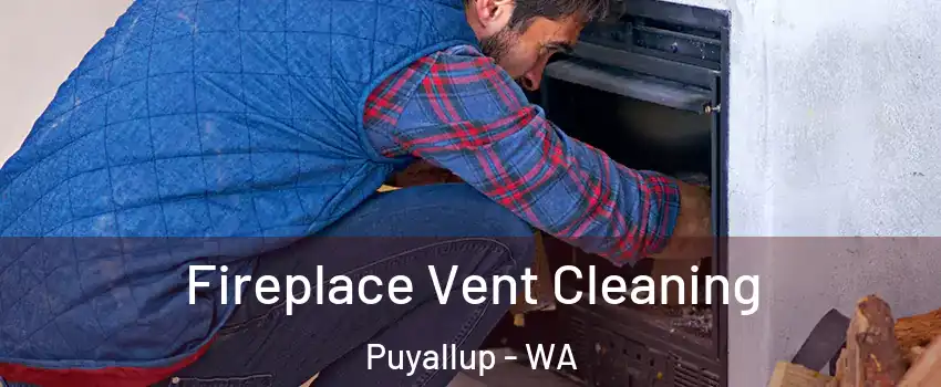  Fireplace Vent Cleaning Puyallup - WA