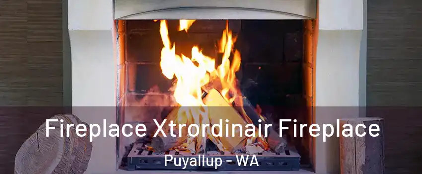  Fireplace Xtrordinair Fireplace Puyallup - WA